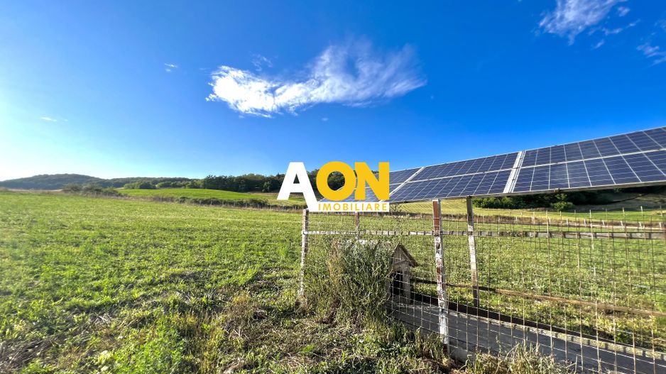 Ferma de vanzare cu 550MP utili si 27.500MP teren la asfalt - Poză 16