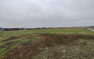 Teren 4588 mp, Remetea Mare Comision 0% - Poză 6