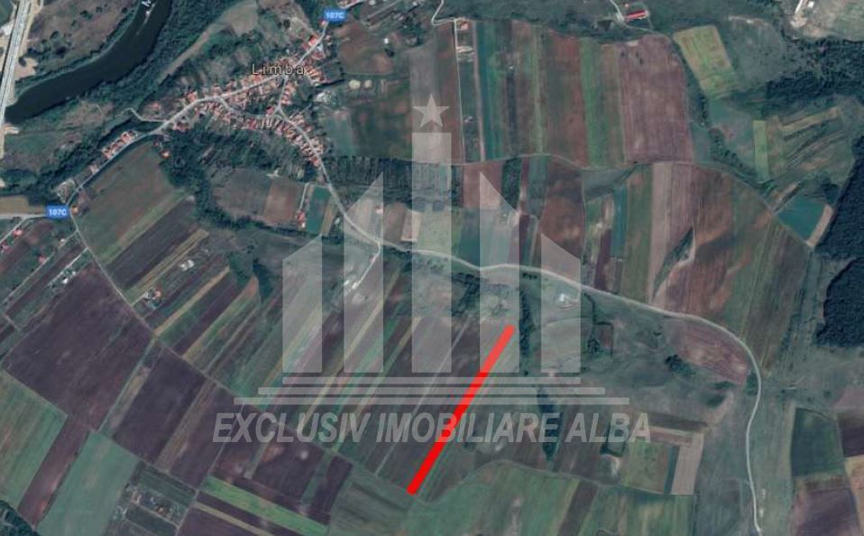 Teren extravilan | Agricol | 8000 mp | 14 ml deschidere | Limba - Poză 2