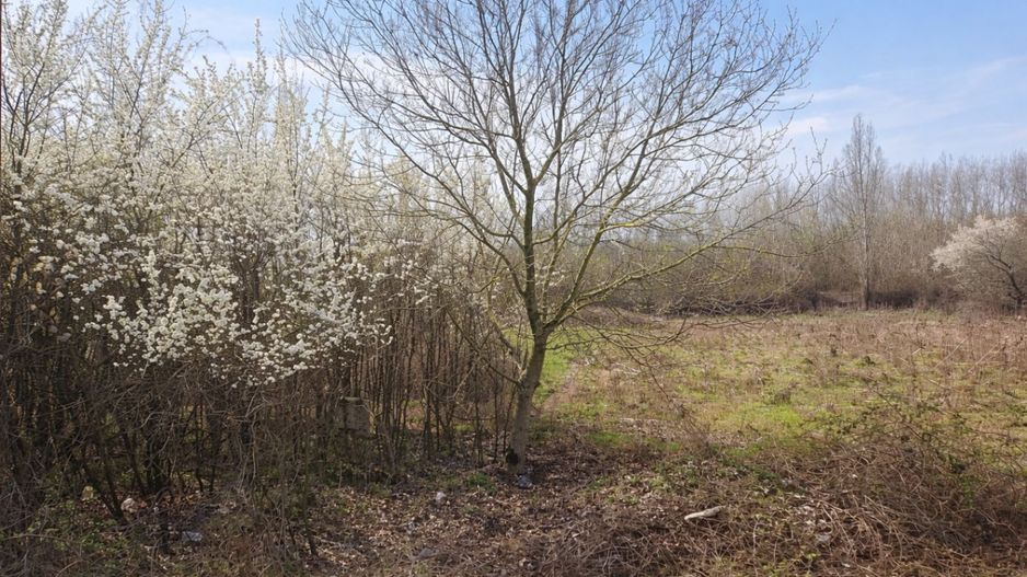 Teren intravilan, 1080 mp, Lipova - Poză 2