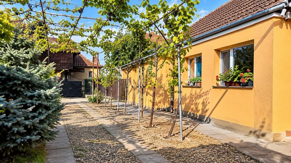 Casă cu 3 camere 85 mp în Freidorf + 2.877 mp teren - Poză 1