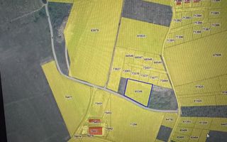 Teren intravilan de vânzare – Vișani, Bârnova, Iași – 2.700 mp - Poză 1