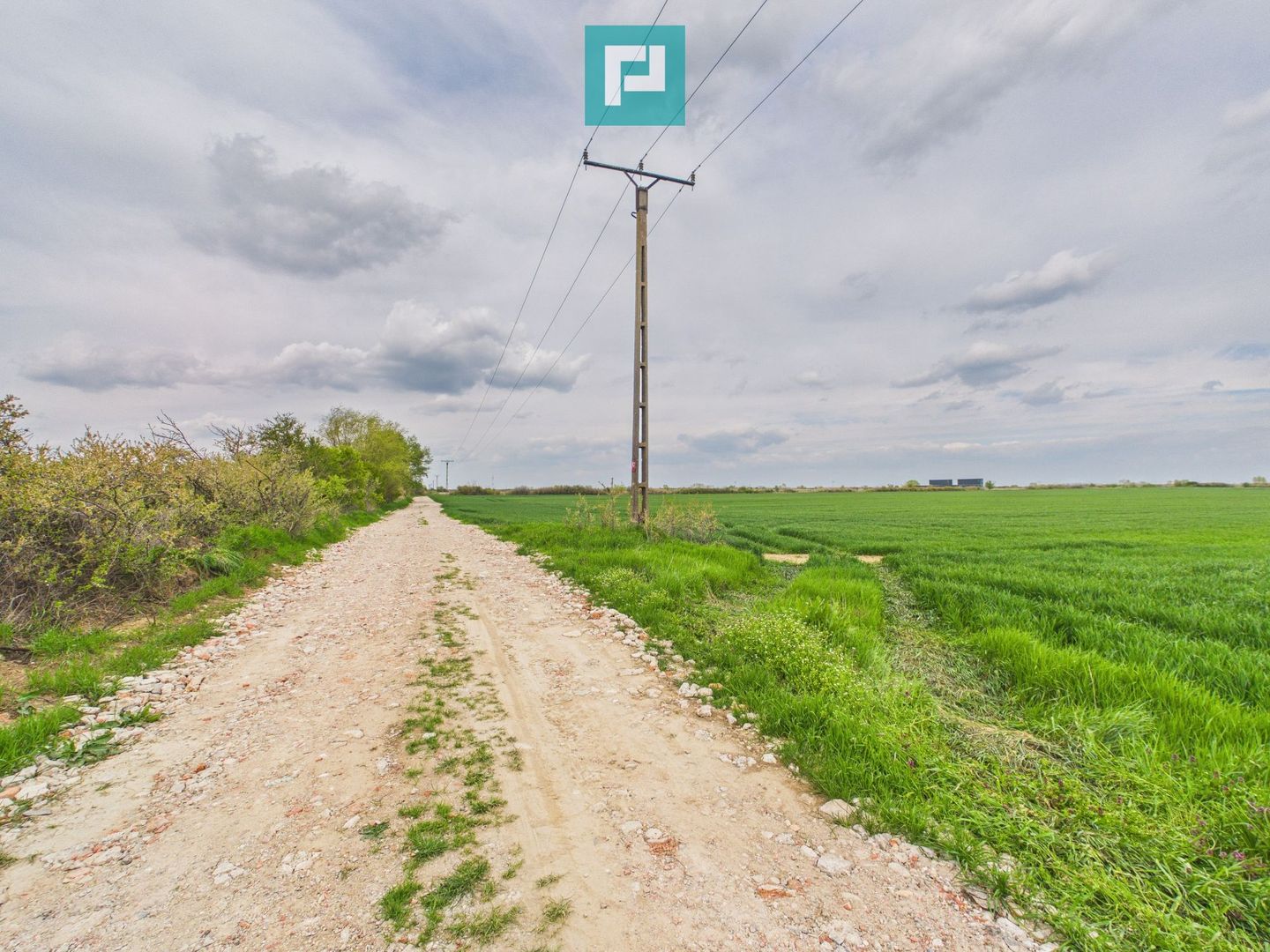 Teren extravilan 19.900 mp – Giroc centură - Poză 5