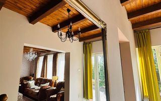 Vila remarcabila+casa boiereasca,in pretios areal de 2.100 mp, Santana de Mures - Poză 10
