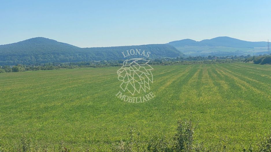 Teren 13400mp la DN 17-parcelabil Sieu-Sfantu - Poză 5