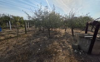 Casa 4 Camere, 756mp Teren, Zona Barabant - Poză 2