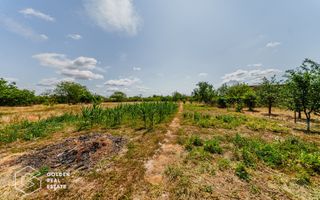 Casa foarte spatioasa cu gradina si gospodarie, Santana - Poză 17