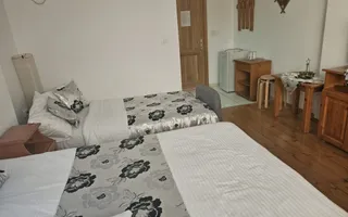 Pensiune 10 camere cu restaurant // Moieciu de Jos - Poză 25