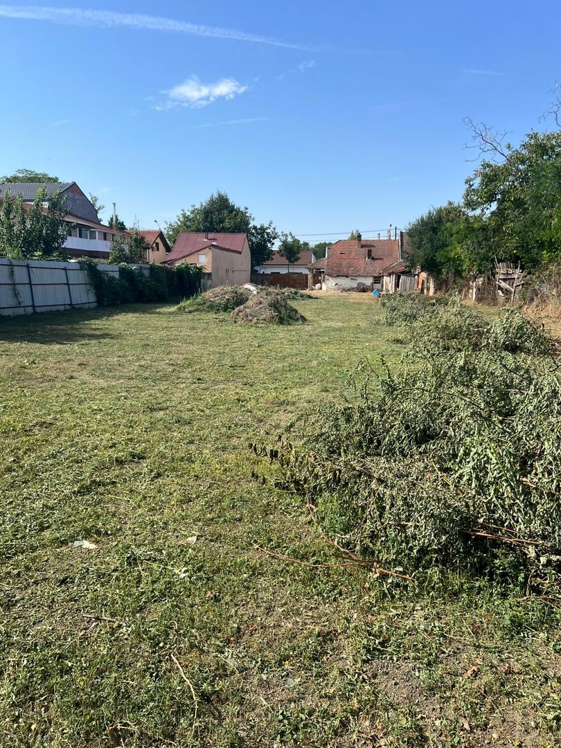 Casa cu teren generos în Timișoara - Poză 1