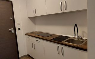2 camere, intim, semineu, Silver Mountain - Poză 6