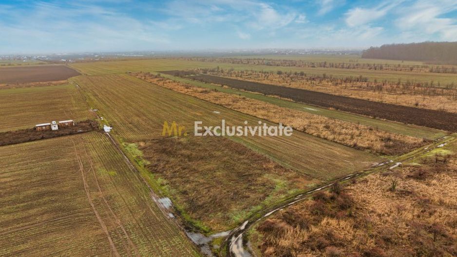 Teren intravilan 5040 mp, deschidere dubla - Poză 4