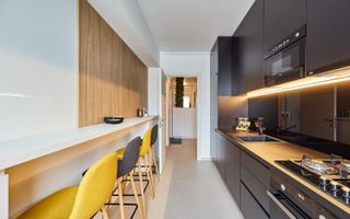 Theodor Pallady - Terasa Generoasa - Dezvoltator - Poză 5