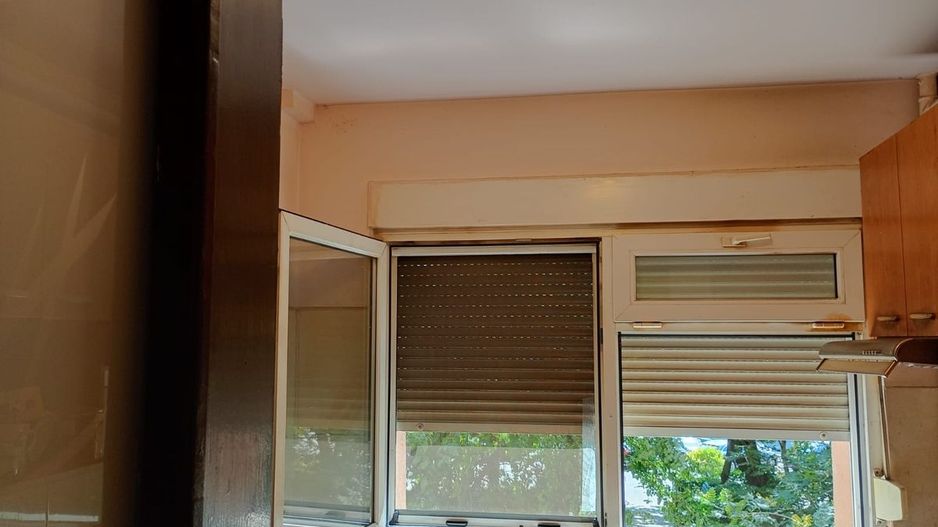 Alexandru Obregia - Poză 9