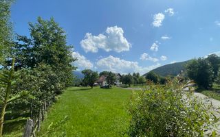 Teren 3779 mp Bran Predelut - Poză 5