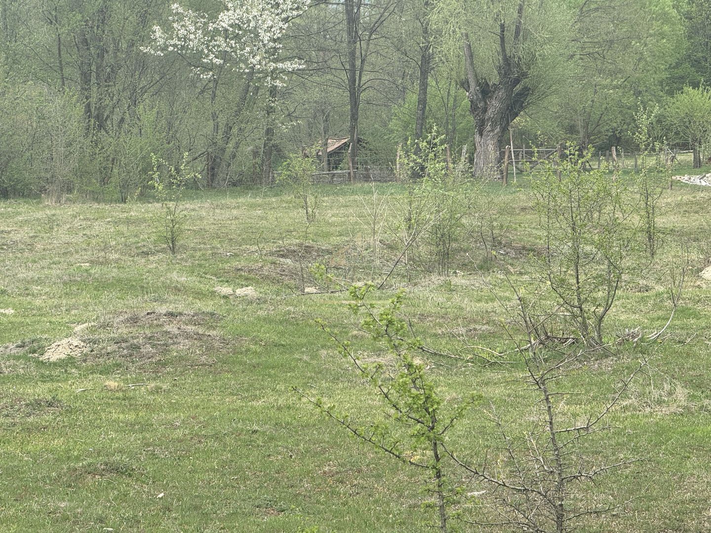 TEREN EXTRAVILAN 40000 MP, ALBESTI DE MUSCEL, CANDESTI - Poză 11