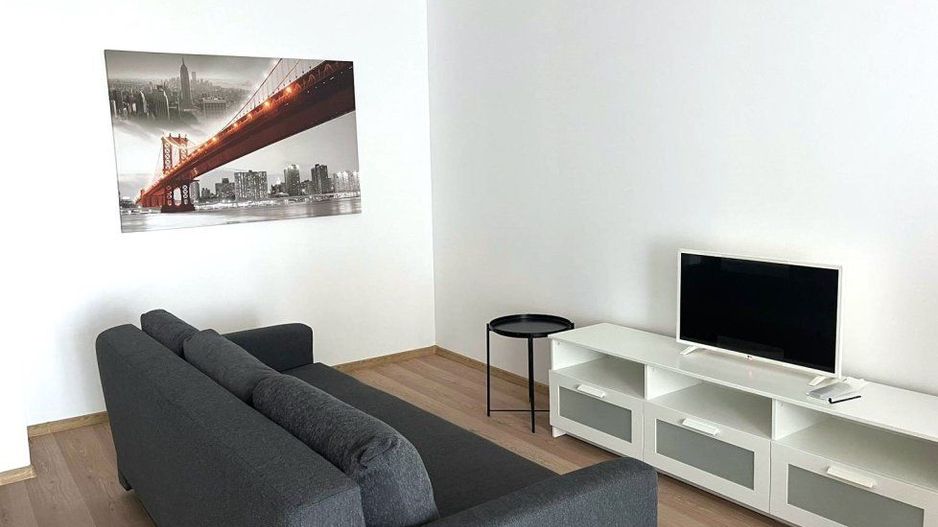 Apartament cu 2 camere, elegant si primitor, in zona Centrala - Take Ionescu - Poză 2