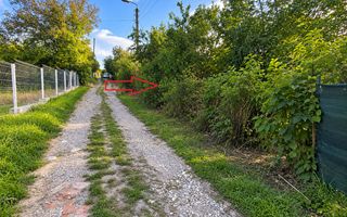 LOT POMICOL DE VÂNZARE – 5,7 ARI | IALOVENI  Î.P. „Floare-Carpet - Poză 5