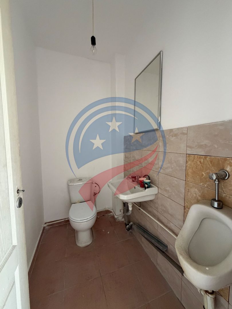 HALE INDISTRIALE SAU BIROURI ZONA CARCEA SAU BRESTEI - Poză 5