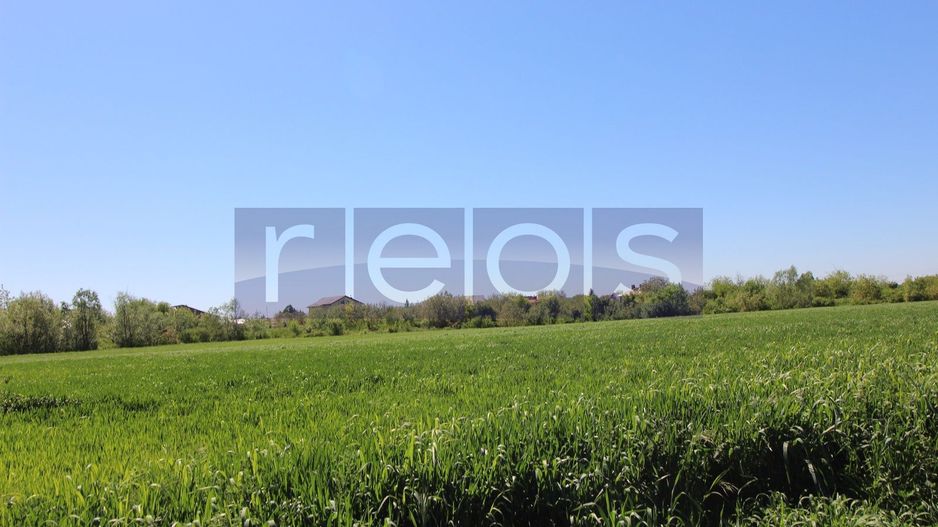 Teren 32000 mp Racari deschidere 82 mp - Poză 2