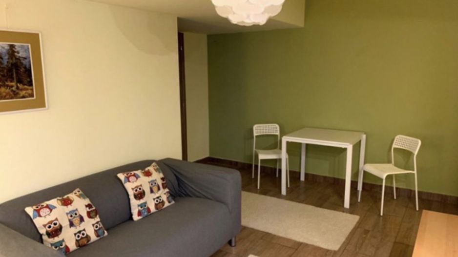 APARTAMENT FLOREASACA | COMPOZITORI CEAIKOVSKI - Poză 4