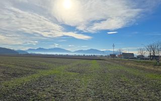 Teren 30.000 mp  – PUZ aprobat pentru ansamblu locuințe - Poză 12