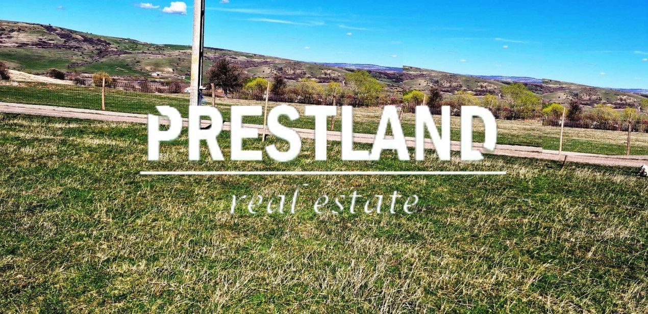 Teren situat în Daia Nouă!! - Poză 3