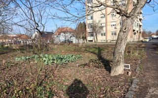 BRASADAS vinde 2000 mp. teren intravilan Diana Titulescu. - Poză 2