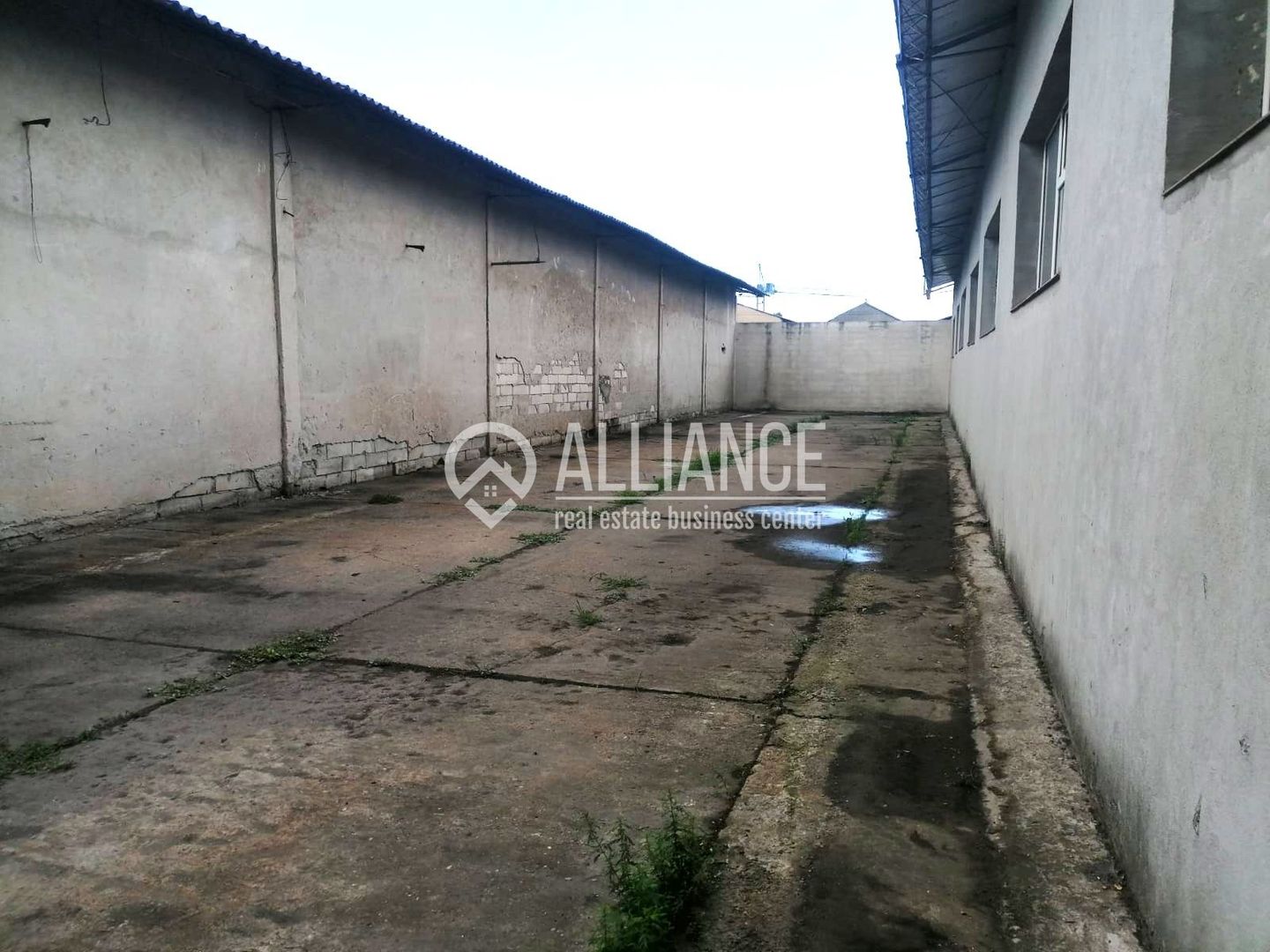 ZONA INDUSTRIALA (COD10) - Hala de inchiriat cu teren de 1700mp - Poză 6