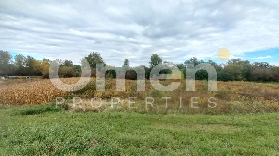 Teren extravilan de 7 arii de vânzare în Cătălina – ideal pentru casă de vacanță - Poză 2