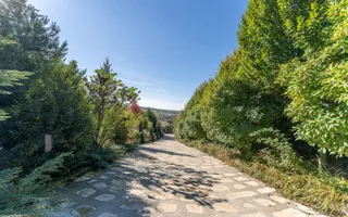 De vanzare casa unica pe teren de 3400mp, cu iaz si gradina - Borhanci - Poză 11