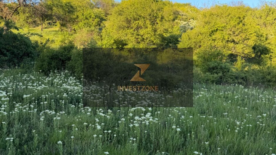 ⭐  Teren de 2.700 mp cu front generos – Ocazie în Oncea - Poză 17