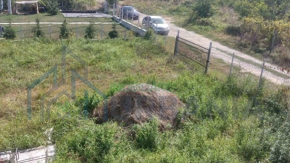 Teren zona bucium - Poză 3