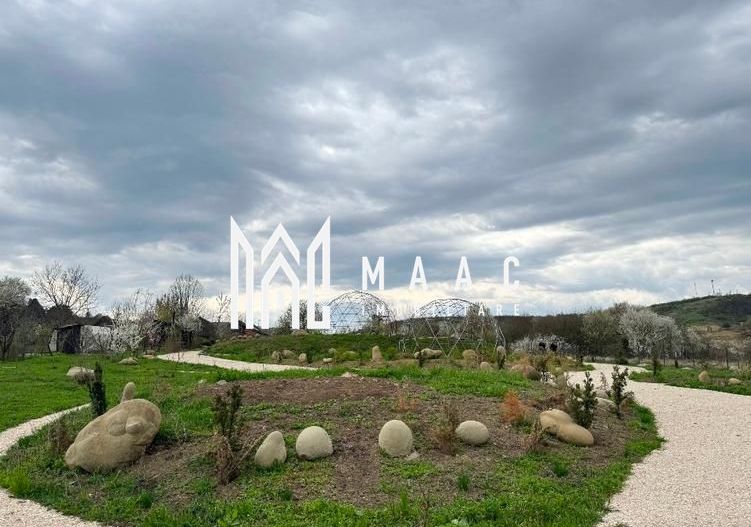 Casă 5 camere de vânzare | Bazna | 3 CF | 7.500 mp teren - Poză 10