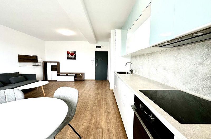 Apartament 2 camere,  loc subteran,  zona Lipovei - Iulius Town - Poză 6