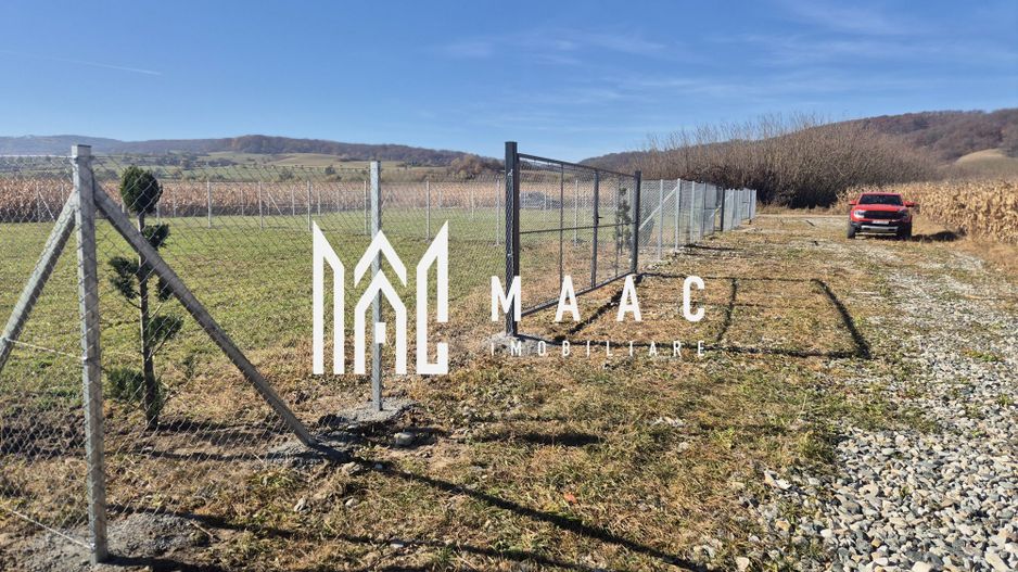 Teren | EXTRAVILAN | 500 MP | Bradu - Poză 5