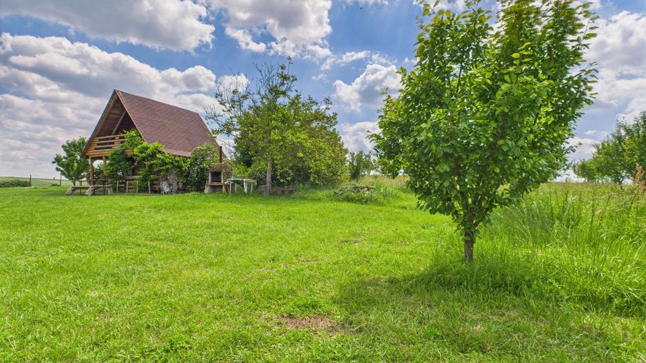 Teren cu baltă- oportunități multiple la Fibiș - Poză 38