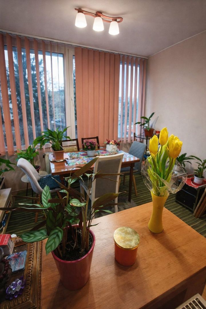 Apartament 3 camere spațios zona Tudor (Sârguinței) - Poză 4