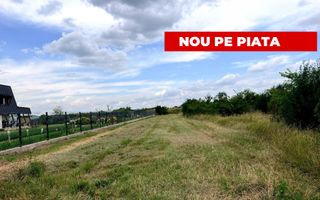 Teren de vanzare in Comuna Bradu – 1.374 mp | Deschidere 13,97 ml | 0% - Poză 4