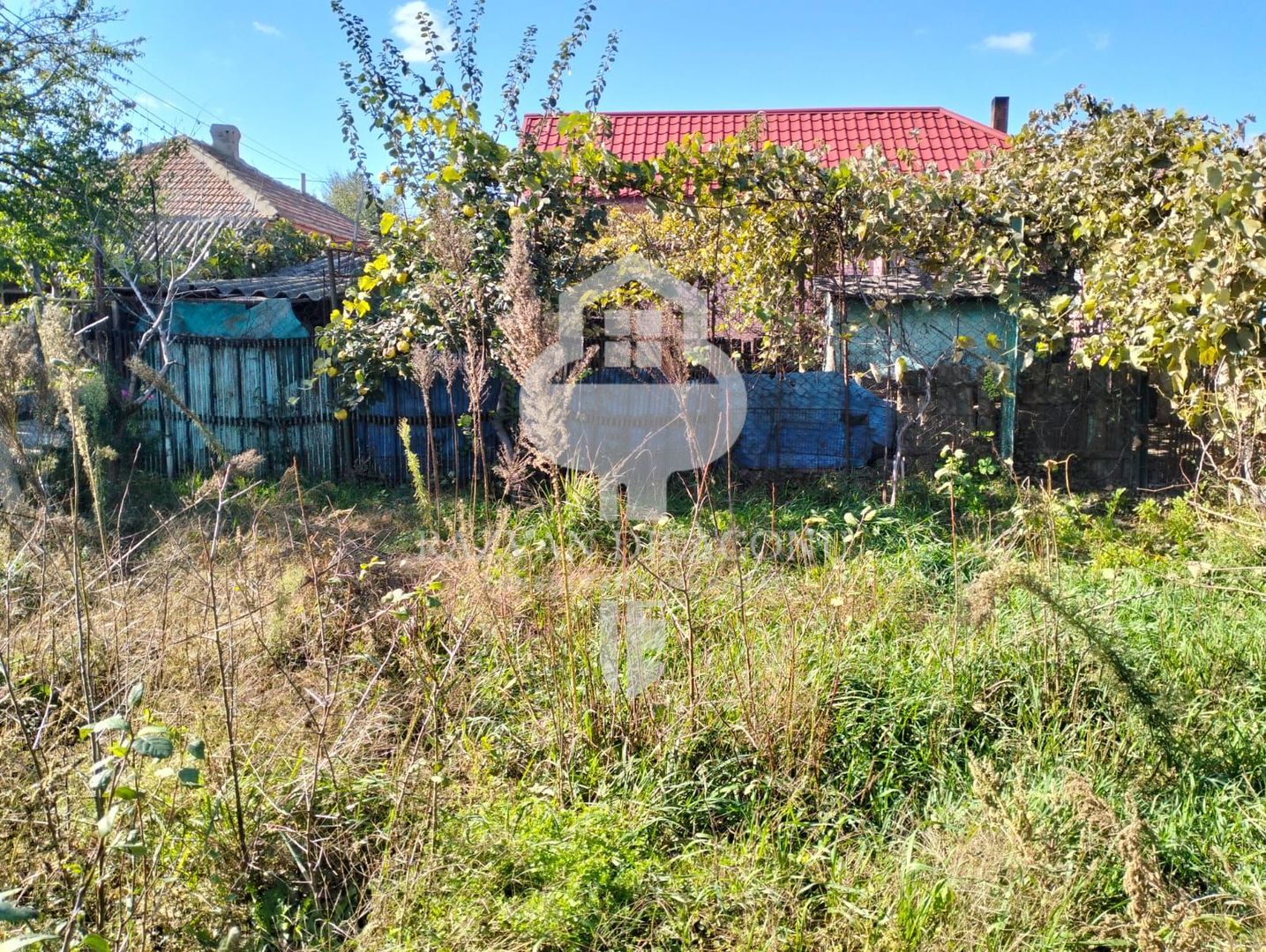 Casa de vanzare Lumina - Poză 7