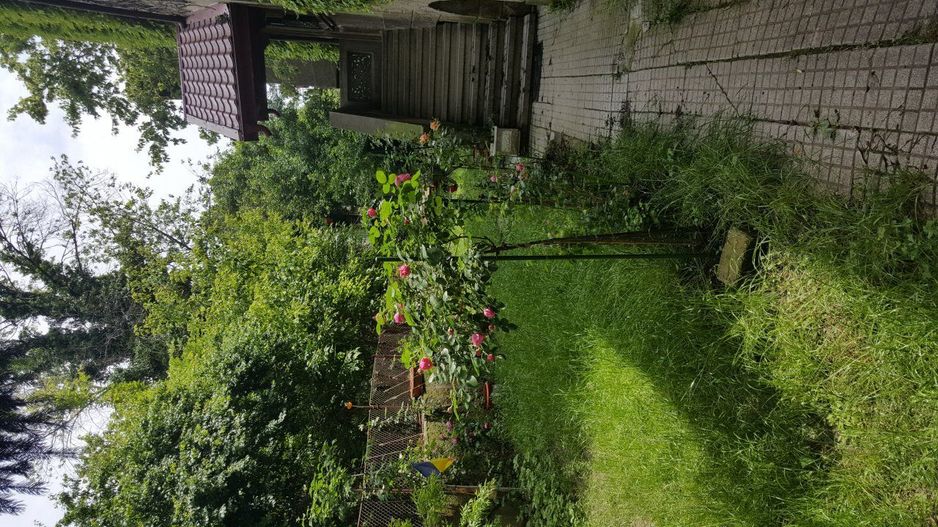 Apartament Floreasca 5 camere  proprietar, pozitie superba arhitectura unica - Poză 5