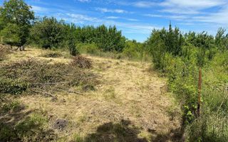 Teren intravilan 1000mp Borhanci - Poză 2