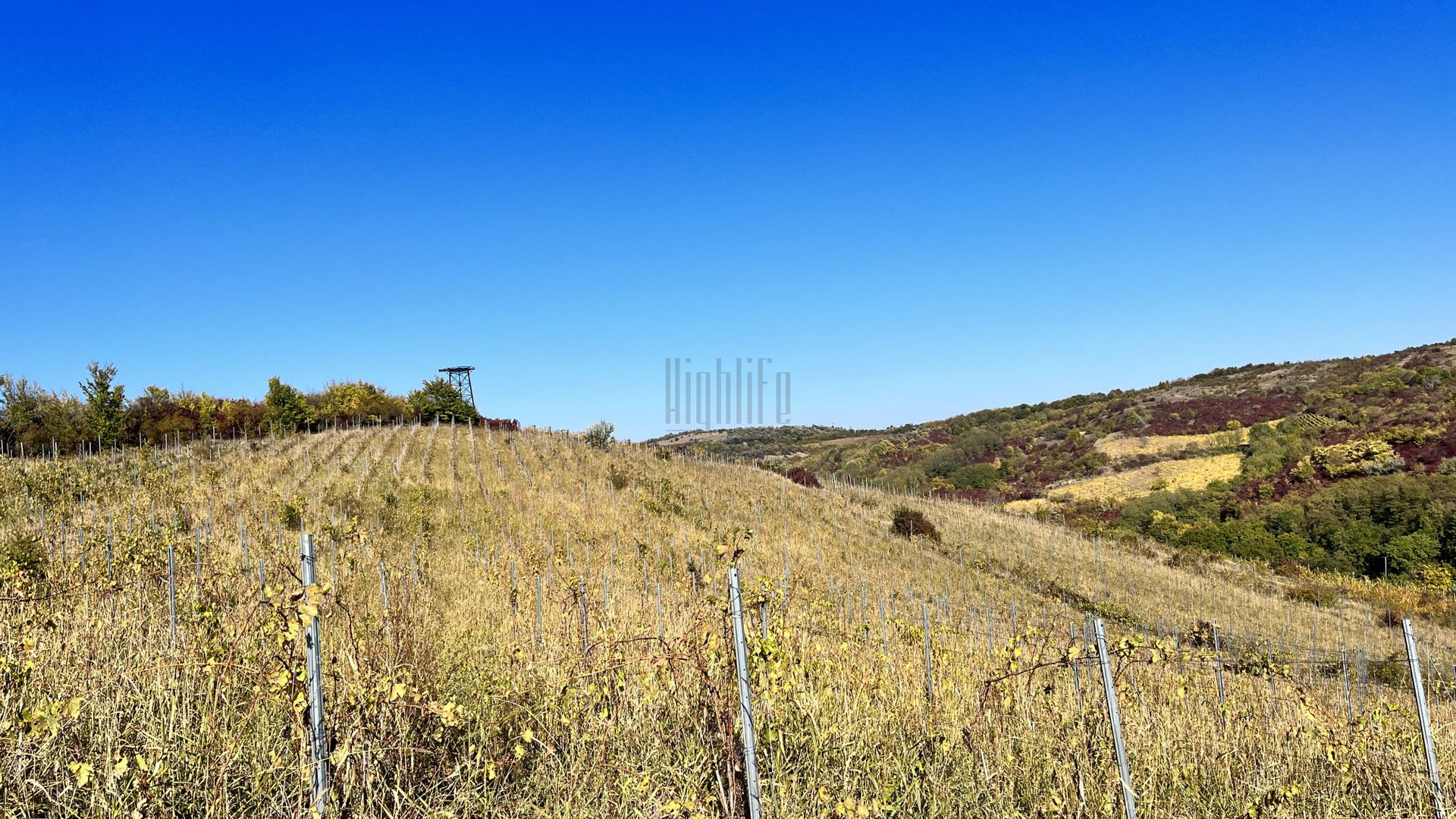 14Ha podgorie, livada pomi fructiferi, si conac 3000mp - Poză 6