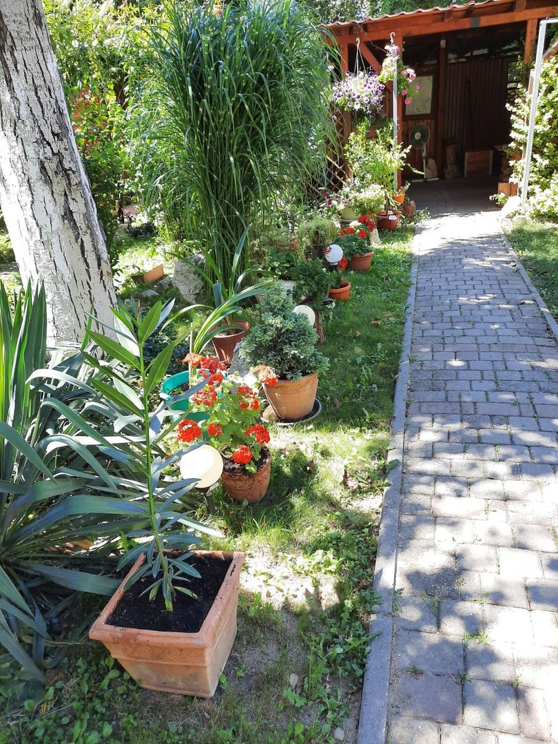 Calea Șagului | 3 Camere | 2 bai | Teren în proprietate 190 mp | Curte amenajat - Poză 1