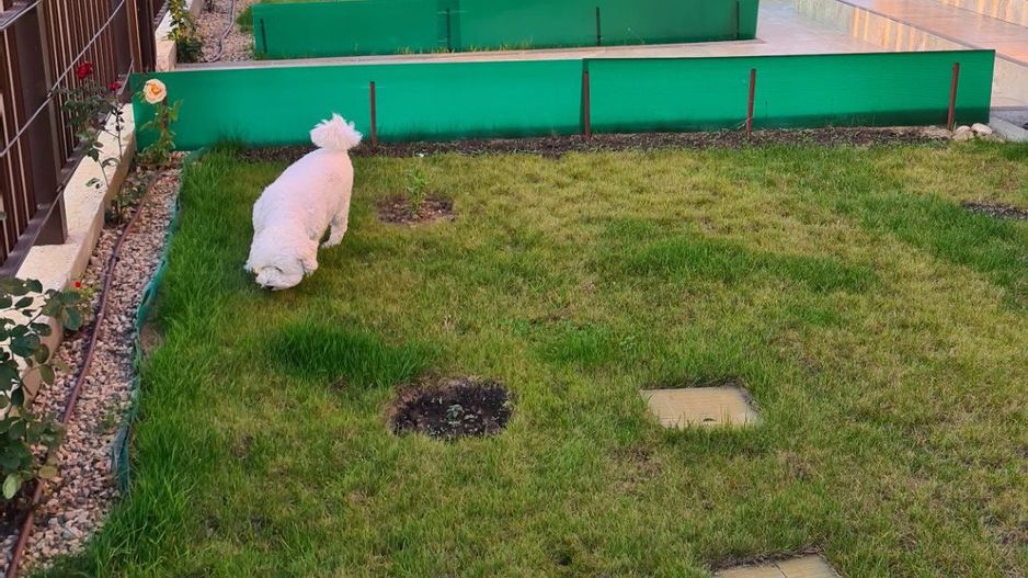 Casa  pasiva-deosebita-Sag manastire - Poză 29