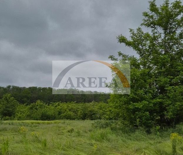 De vanzare - TEREN construcții 700 mp - lizieră - Siliștea Snagovului - Poză 2