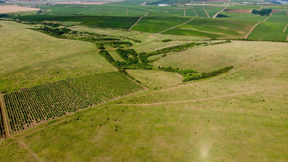 Teren arabil de 1284 hectare în Botoșani - Poză 4