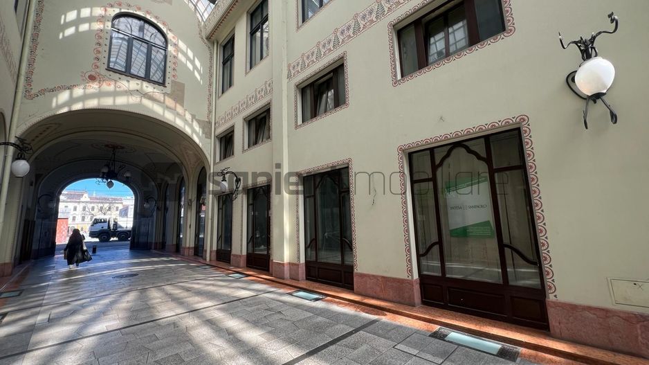 Sapient | Spațiu comercial _ Pasajul Vulturul Negru - Poză 1