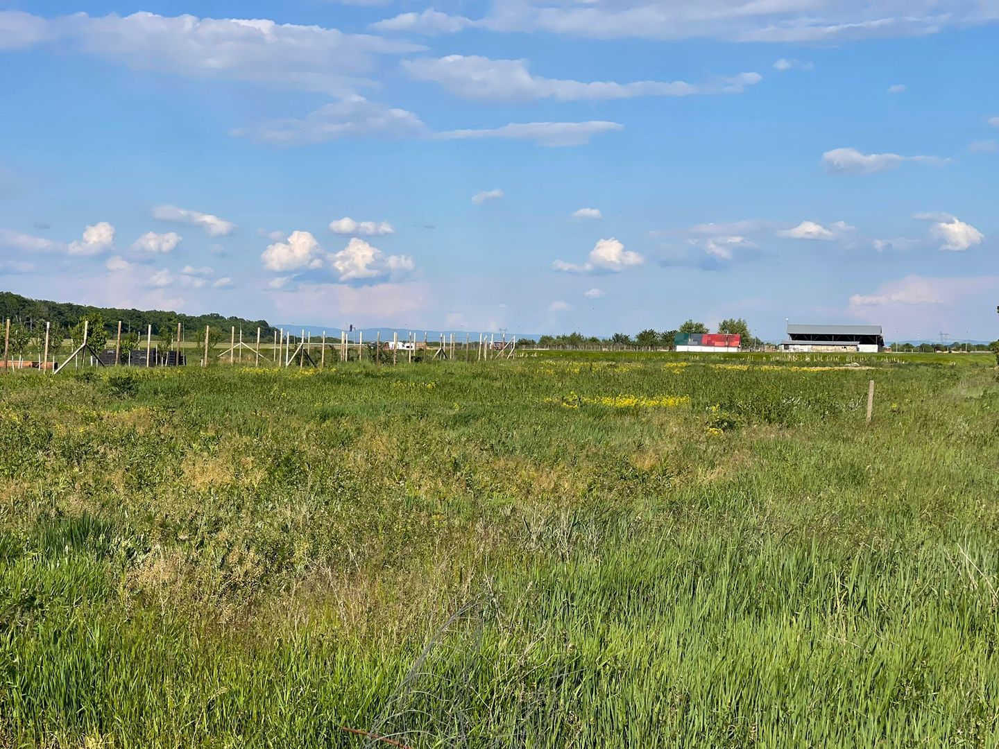 Parcele teren Nojorid 600 mp. 28 500 E neg. Comision 0 - Poză 4