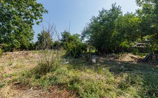teren 3889 mp Domnesti Primarie - Poză 7