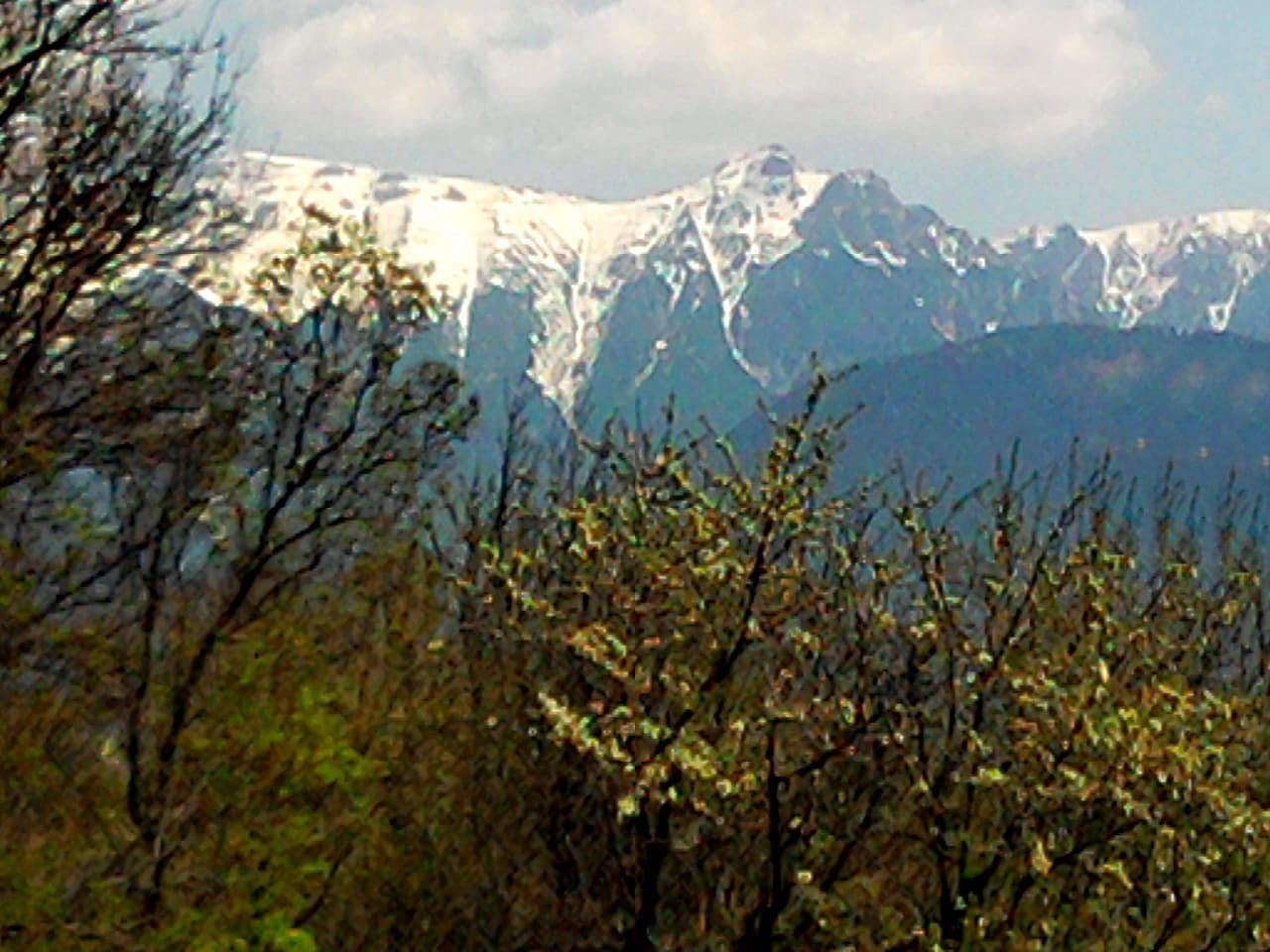 teren intravilan in zona Magura Bran - Poză 1